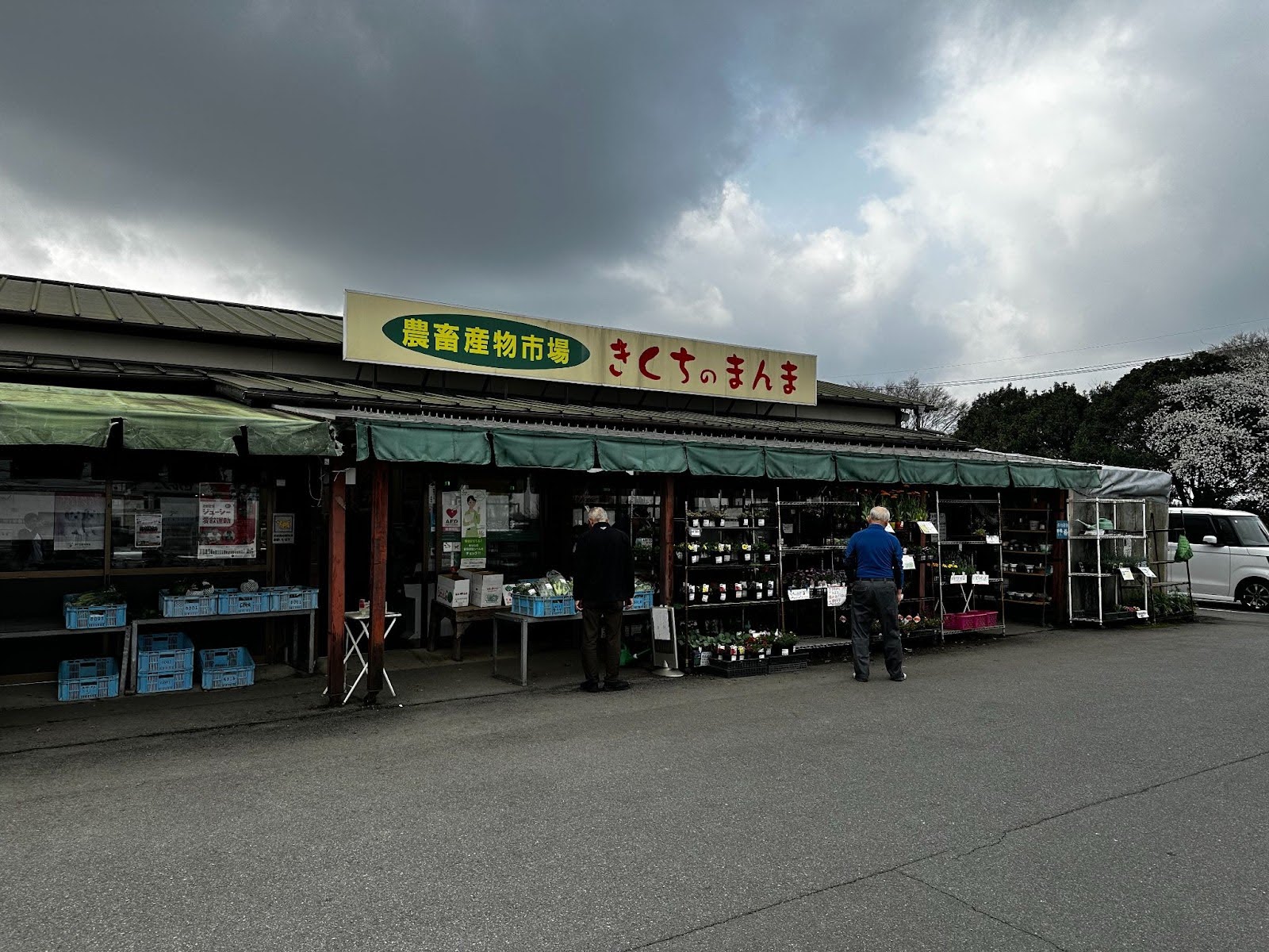 きくちのまんま菊陽店