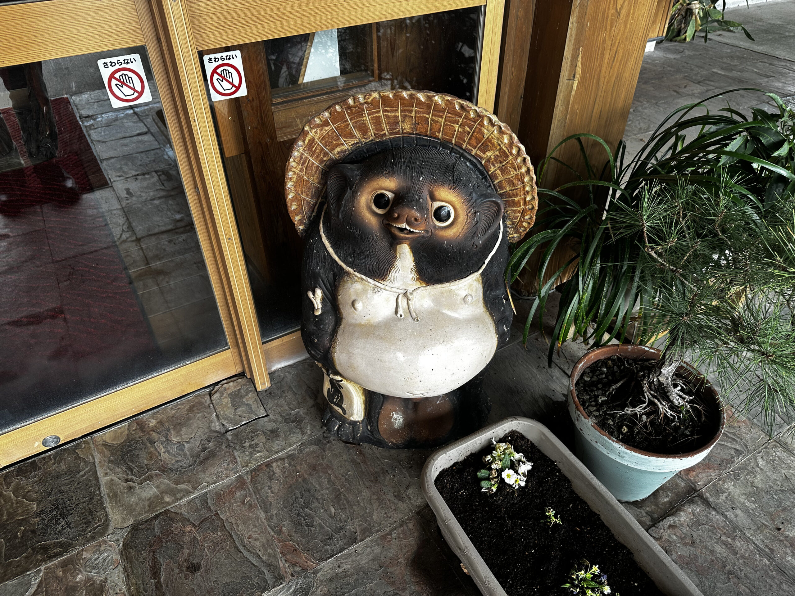 山椒茶屋のたぬき